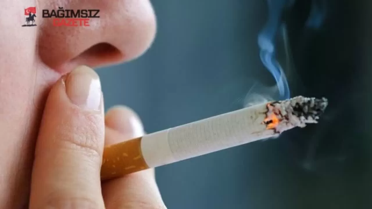 2025 En Hafif Sigara Hangisi? En Hafif Sigara Sıralaması