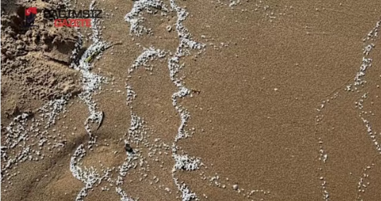 İspanya'nın Valencia Sahillerinde Beyaz Cisim Alarmı: Dört Plaj Kapatıldı