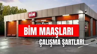 BİM Maaşları 2025 Güncel: Kasiyer, Part-Time, Bölge Sorumlusu Maaş Ne Kadar?