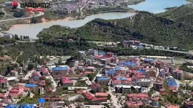 Tunceli’de Şap Hastalığı Vakası!