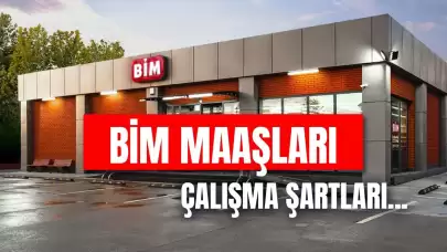 BİM Maaşları 2025 Güncel: Kasiyer, Part-Time, Bölge Sorumlusu Maaş Ne Kadar?