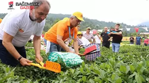 ÇAYKUR 2025 Yılı İçin 1.500 Mevsimlik İşçi Alımı Yapacak!