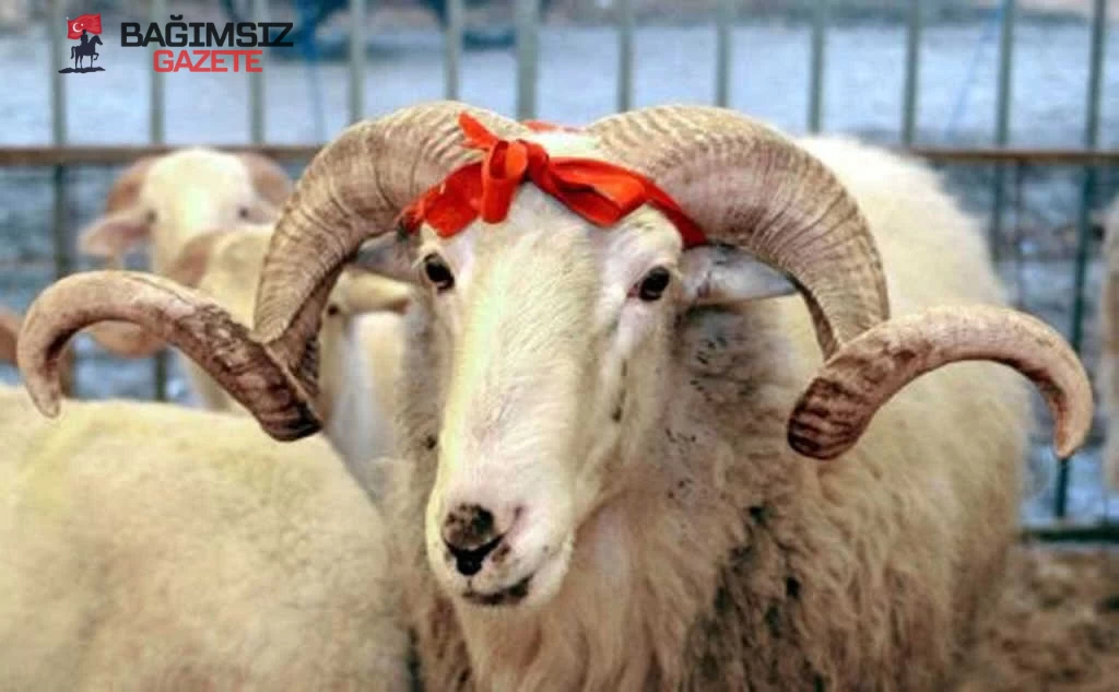 Kurban Bayramı 2025: Arefe ve Bayram Günleri Hangi Tarihlere Denk Geliyor?