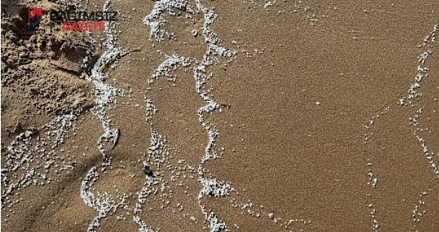 İspanya'nın Valencia Sahillerinde Beyaz Cisim Alarmı: Dört Plaj Kapatıldı